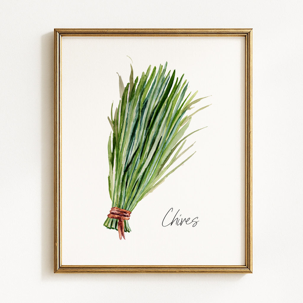 Watercolor Kitchen & Garden Herbs - Set of 6