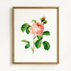 Vintage Spring Floral Mix - Set of 6