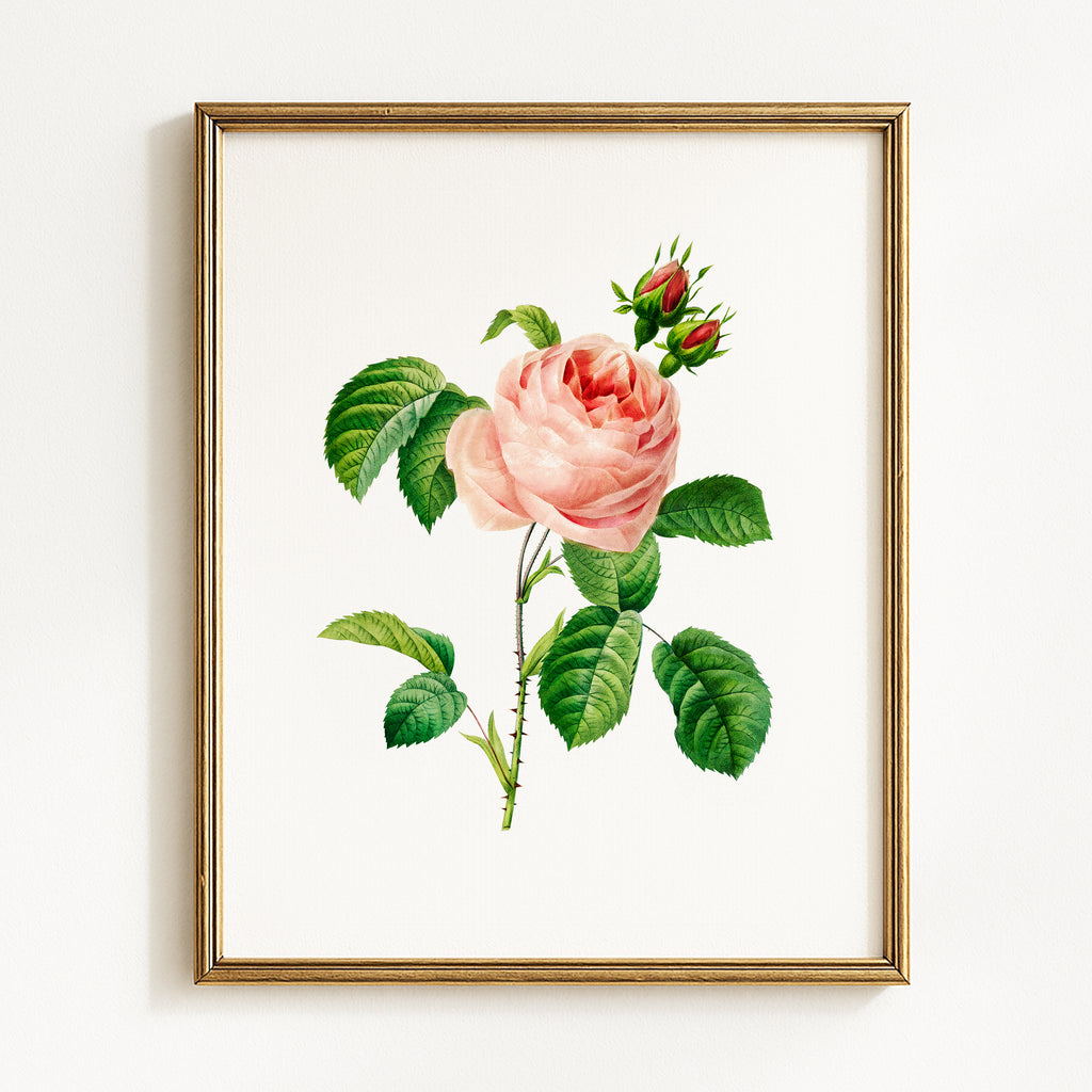Vintage Spring Floral Mix - Set of 6
