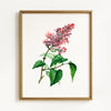 Vintage Spring Floral Mix - Set of 6