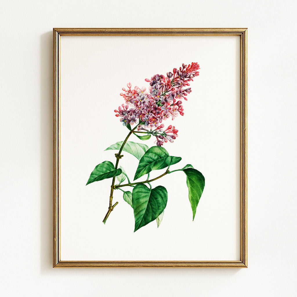 Vintage Spring Floral Mix - Set of 6