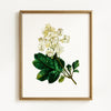 Vintage Spring Floral Mix - Set of 6