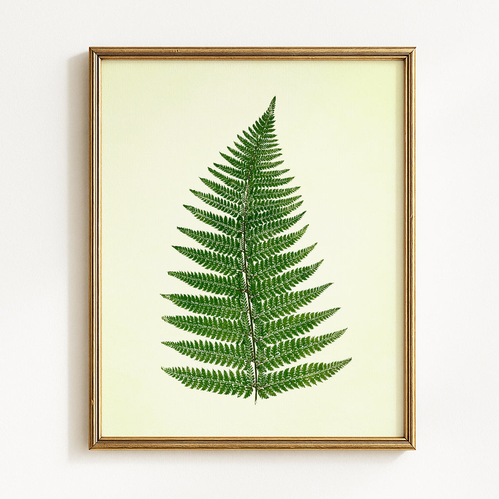 Vintage Green Ferns - Set of 4