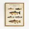 Vintage North American Trout - Set of 2