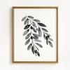 Watercolor Leaves - Black/Gray on White - Set of 4