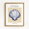 Coastal Seashells - Set of 4 Exhibition Prints