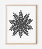 Botanical Ink Splashes - Textured Black on White - Set of 4