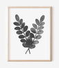 Botanical Ink Splashes - Textured Black on White - Set of 4