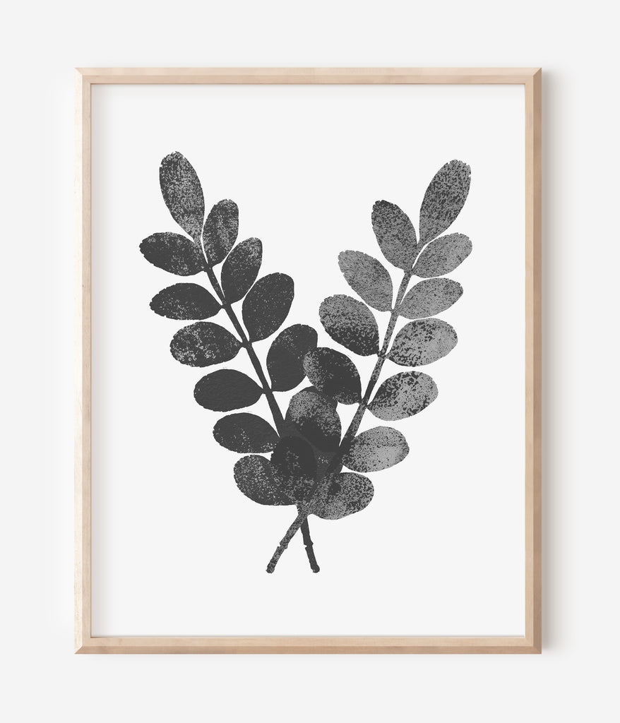 Botanical Ink Splashes - Textured Black on White - Set of 4