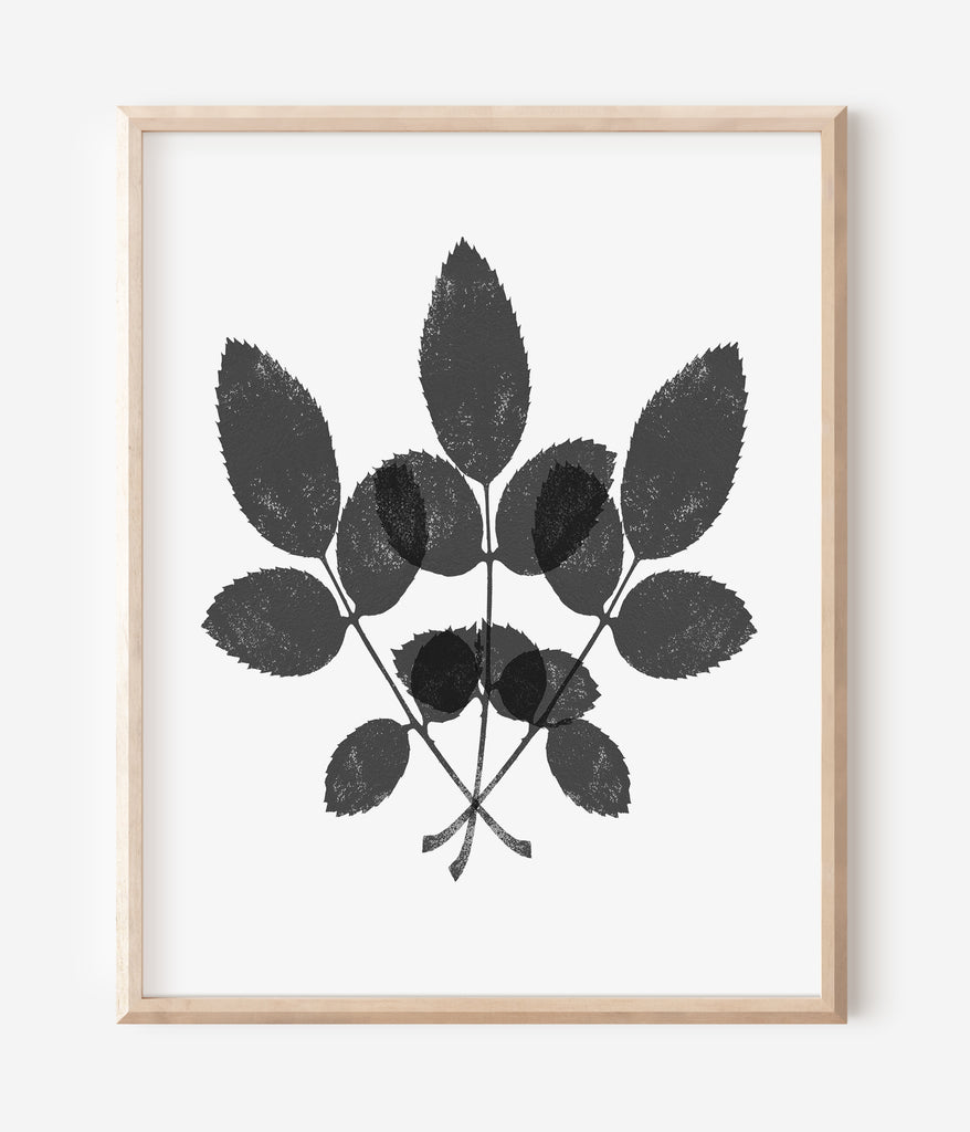 Botanical Ink Splashes - Textured Black on White - Set of 4