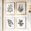Watercolor Leaves - Black/Gray on White - Set of 4