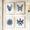 Botanical Ink Splashes - Textured Blue on White - Set of 4
