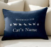 Cat Lover Personalized Pet Pillow
