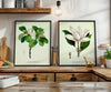 Vintage Floral Magnolias - Set of 2