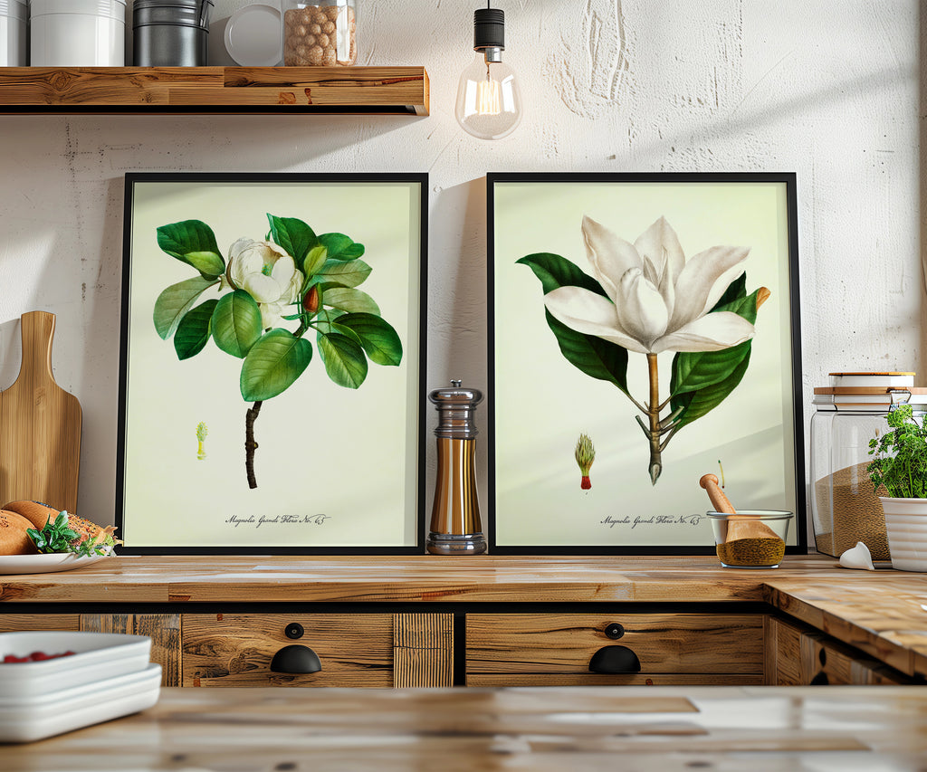 Vintage Floral Magnolias - Set of 2