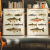 Vintage North American Trout - Set of 2