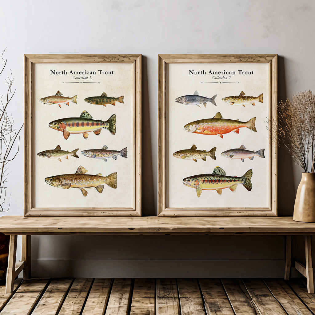 Vintage North American Trout - Set of 2