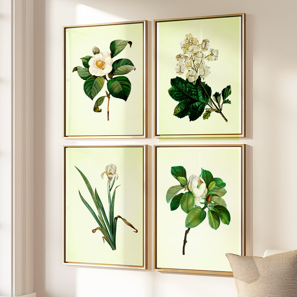 Vintage White Florals - Set of 4