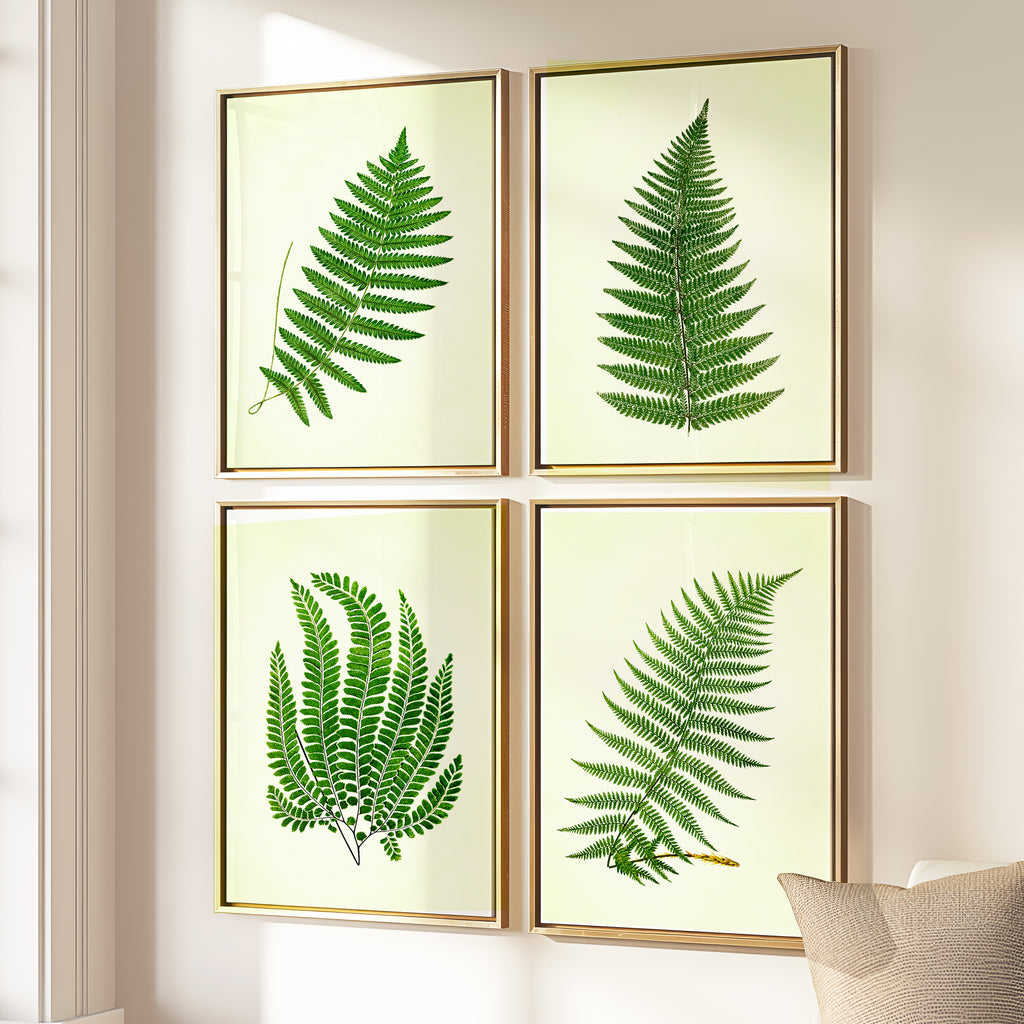 Vintage Green Ferns - Set of 4