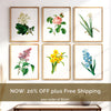 Vintage Spring Floral Mix - Set of 6