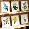 Vintage Spring Floral Mix - Set of 6