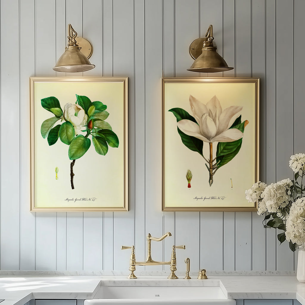 Vintage Floral Magnolias - Set of 2