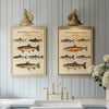 Vintage North American Trout - Set of 2