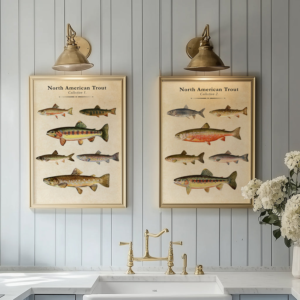 Vintage North American Trout - Set of 2