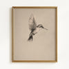 Vintage Hummingbirds - Set of 2