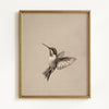 Vintage Hummingbirds - Set of 2