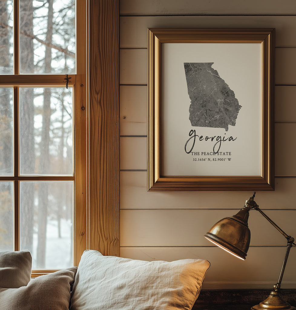 Georgia State Map