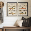 Vintage North American Trout - Set of 2
