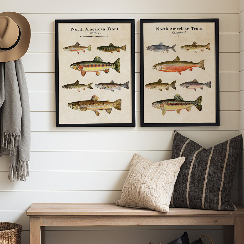 Vintage North American Trout - Set of 2