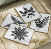 Botanical Ink Splashes - Textured Black on White - Set of 4
