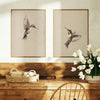 Vintage Hummingbirds - Set of 2