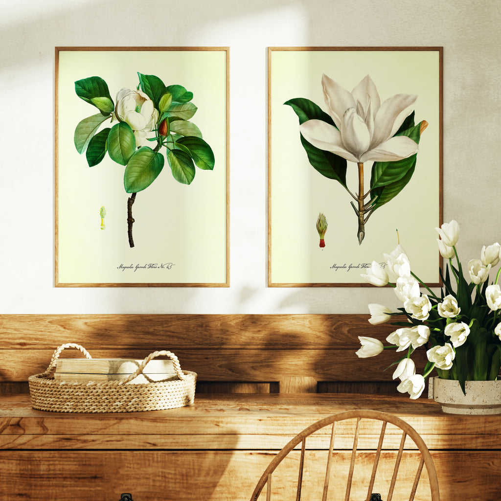 Vintage Floral Magnolias - Set of 2