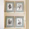 Vintage Woodland Botanical Sketches - Set of 4
