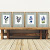 Blue & Purple Watercolor Wildflowers - Set of 4