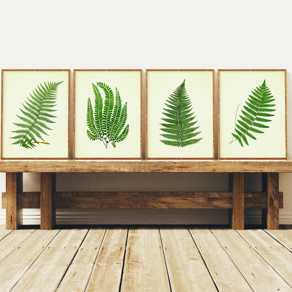 Vintage Green Ferns - Set of 4