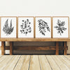 Watercolor Leaves - Black/Gray on White - Set of 4