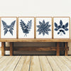Botanical Ink Splashes - Textured Blue on White - Set of 4
