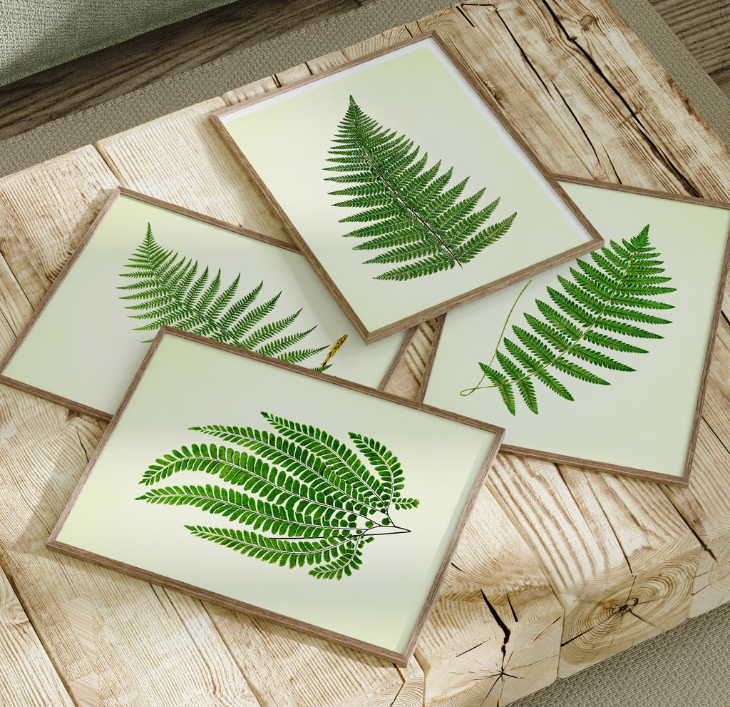 Vintage Green Ferns - Set of 4