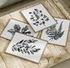 Watercolor Leaves - Black/Gray on White - Set of 4