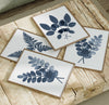 Botanical Ink Splashes - Textured Blue on White - Set of 4