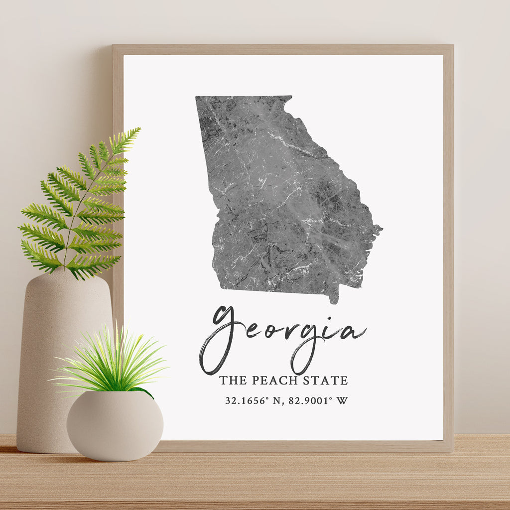 Georgia State Map