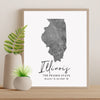 Illinois State Map