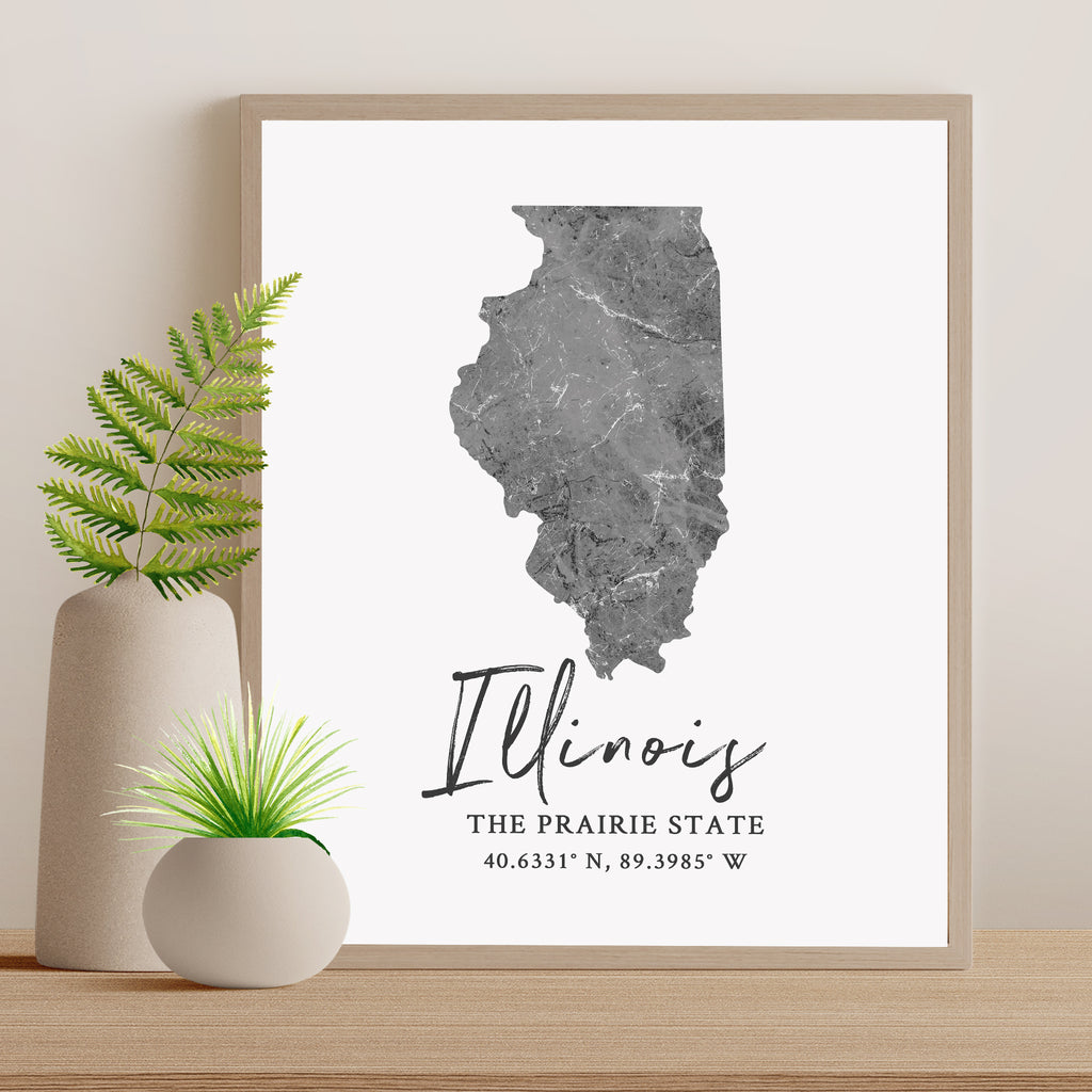 Illinois State Map