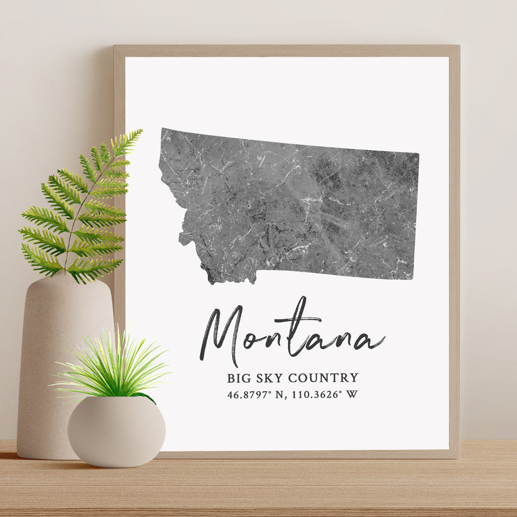 Montana State Map
