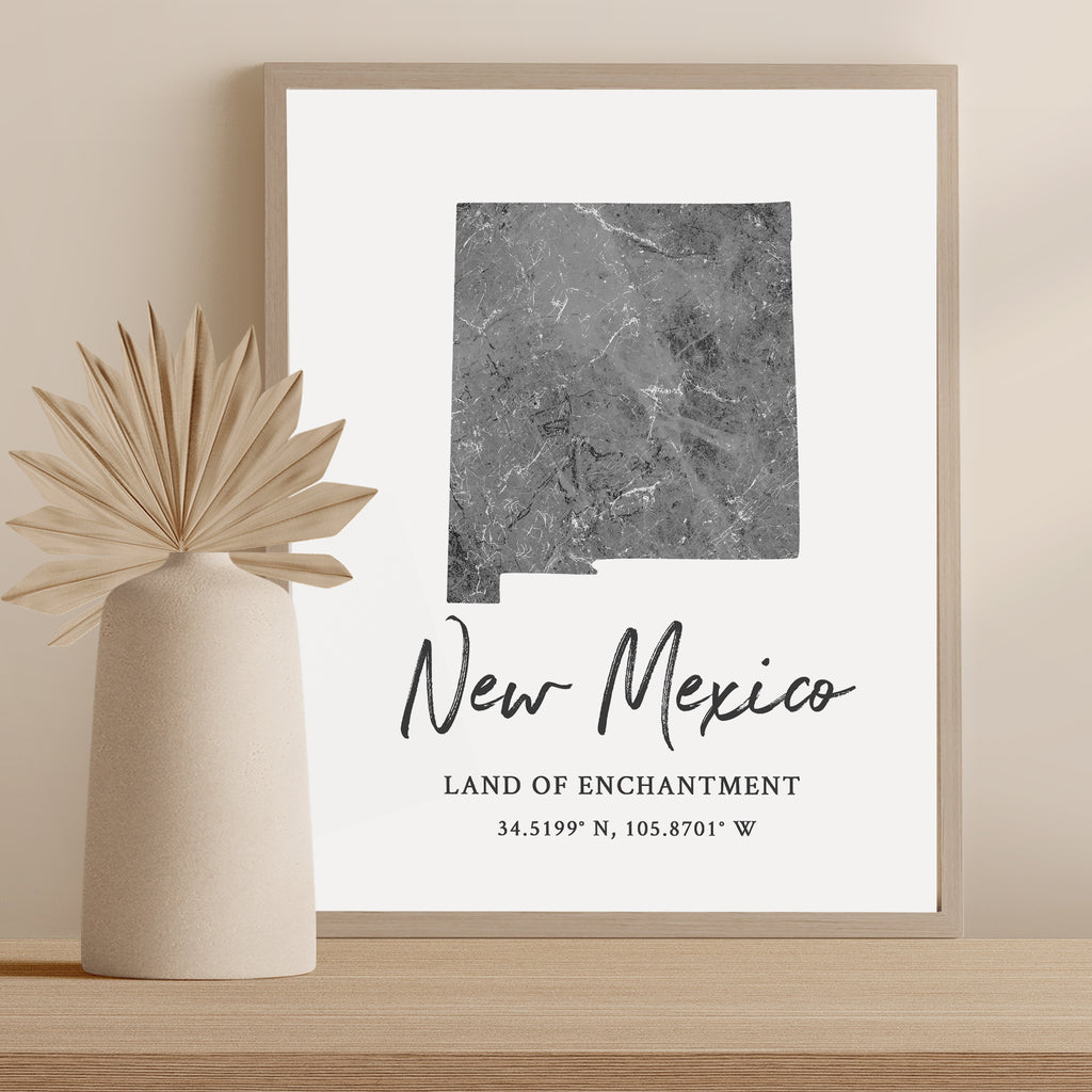 New Mexico State Map